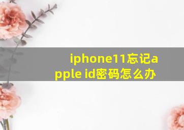 iphone11忘记apple id密码怎么办